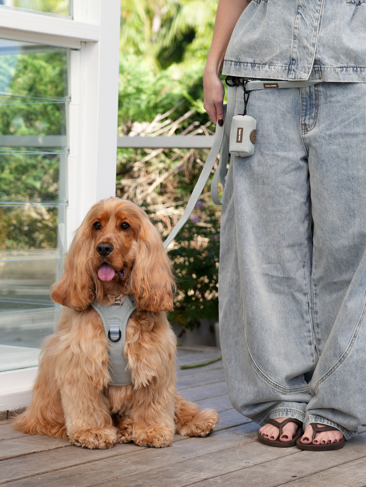 Hands-free Lead Baby Blue Denim